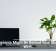 Houseplants Might Be Behind Your Sluggish Wi-Fi